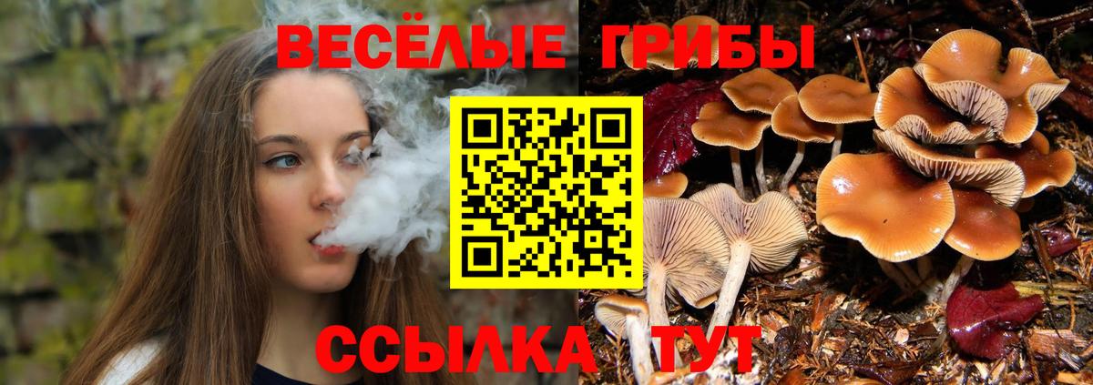 Галлюциногенные грибы ЛСД Рузаевка