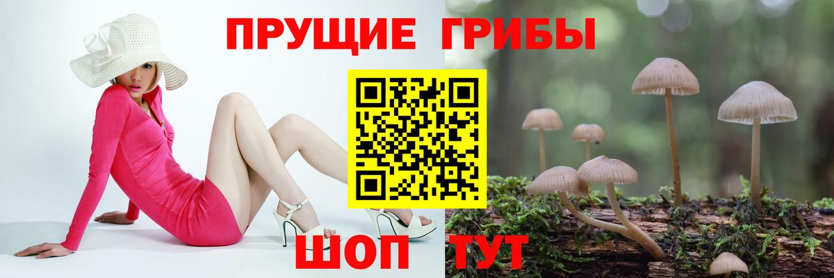 Рузаевка  Галлюциногенные грибы Magic Shrooms  Вход с VPN 